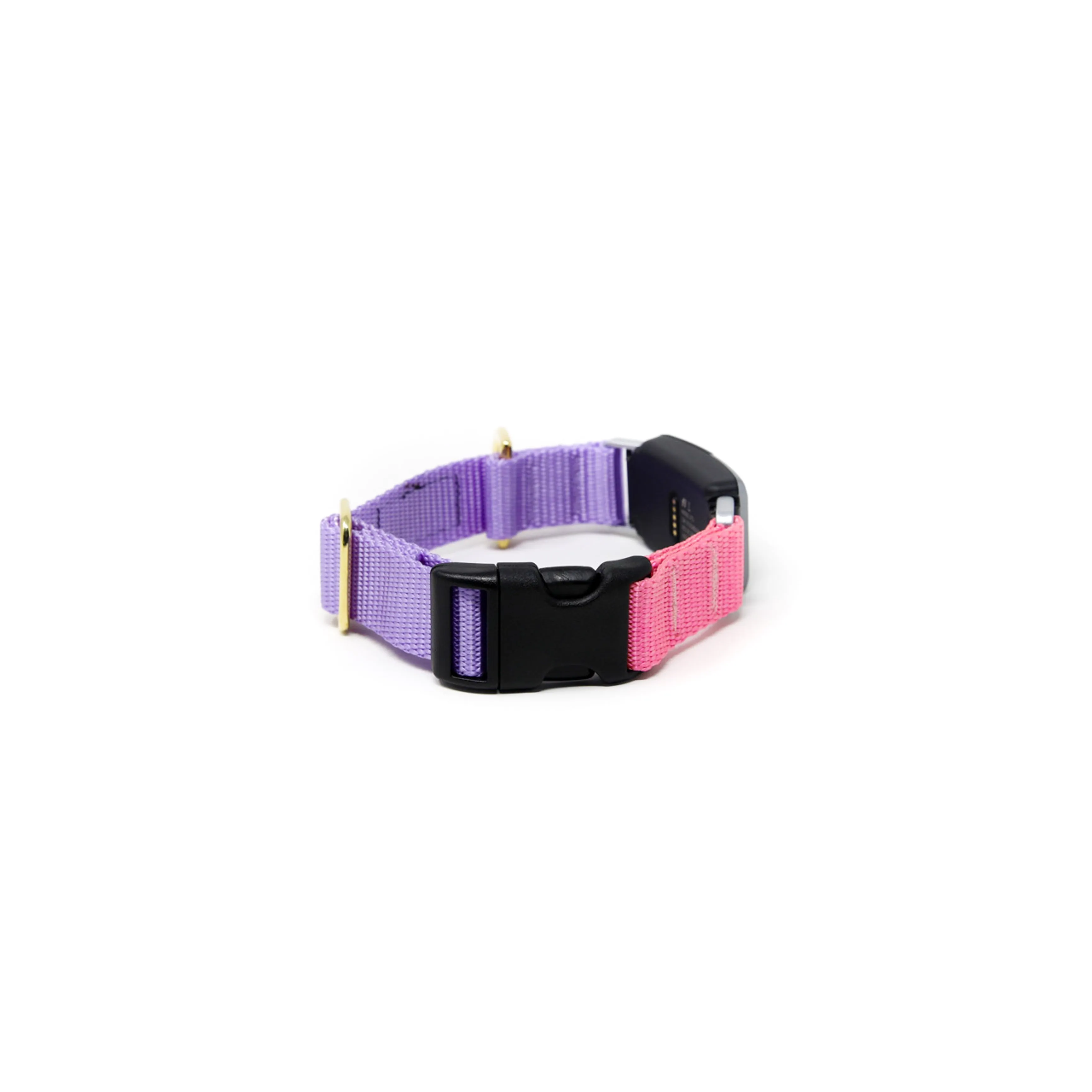 Fi Collar Band - Mix & Match