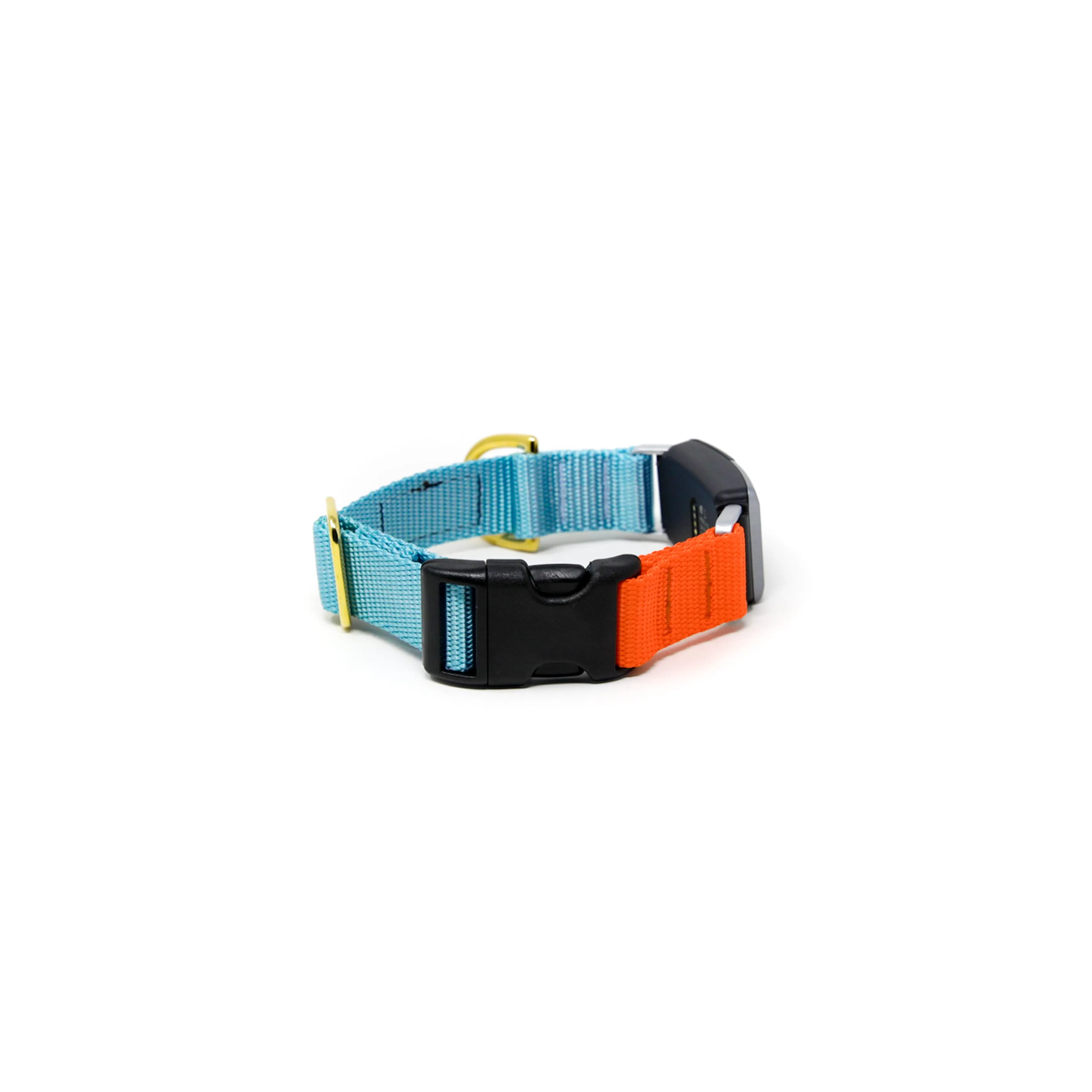 Fi Collar Band - Mix & Match