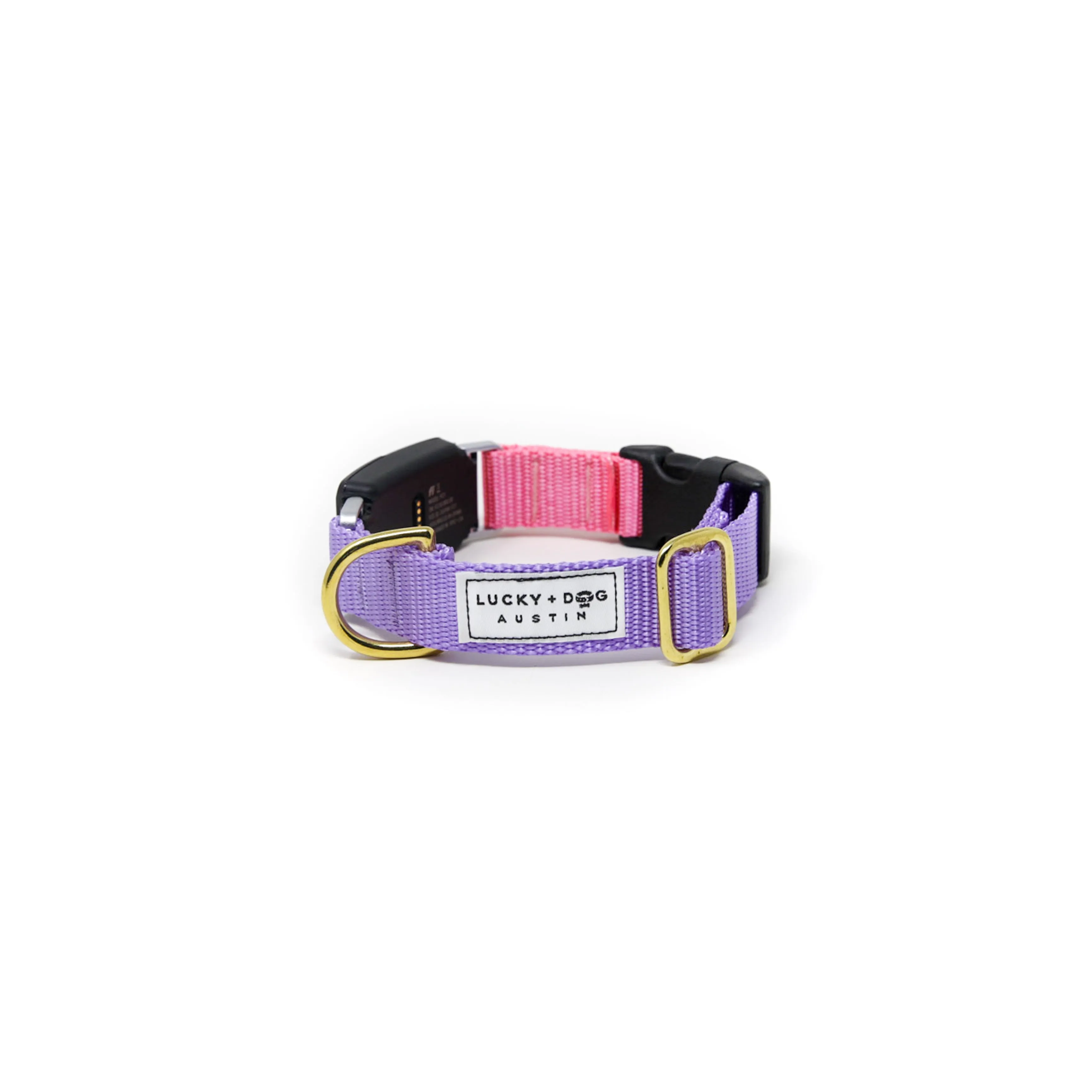 Fi Collar Band - Mix & Match